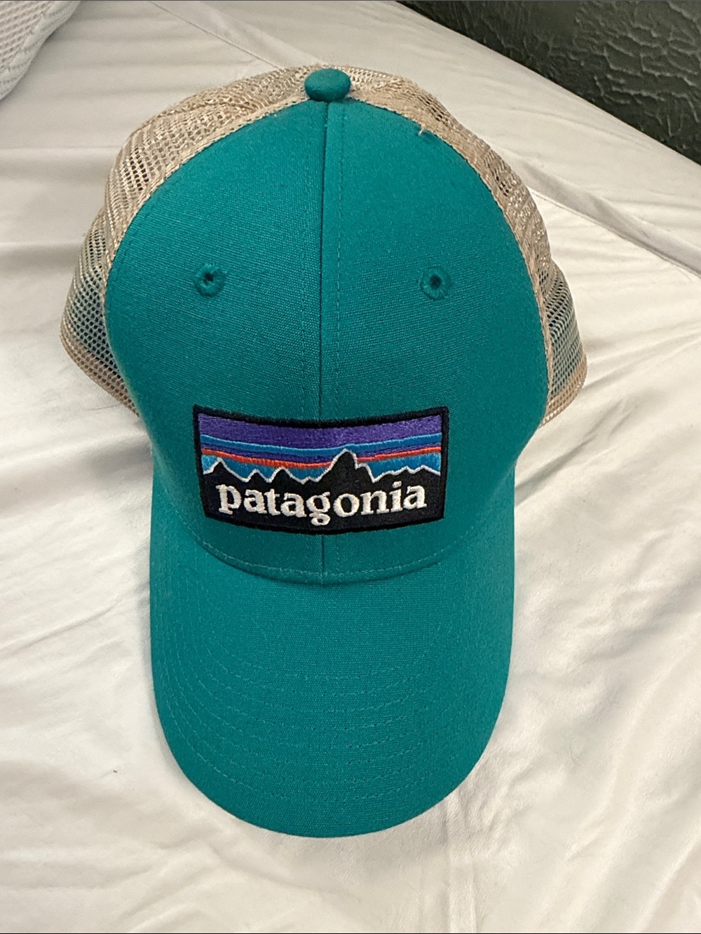 Patagonia Teal Trucker Cap